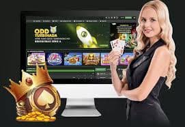 6690 bet